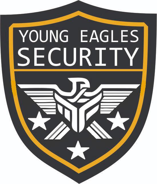Young Eagles Security Logo